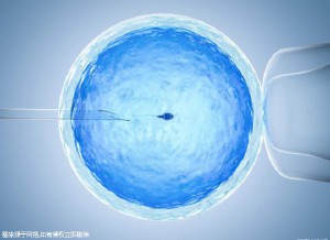 包生男孩中介机构生殖中心